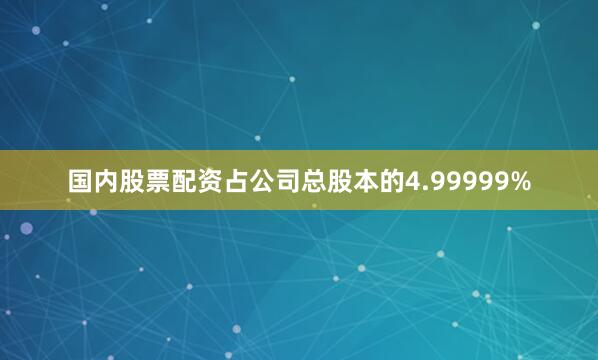 国内股票配资占公司总股本的4.99999%