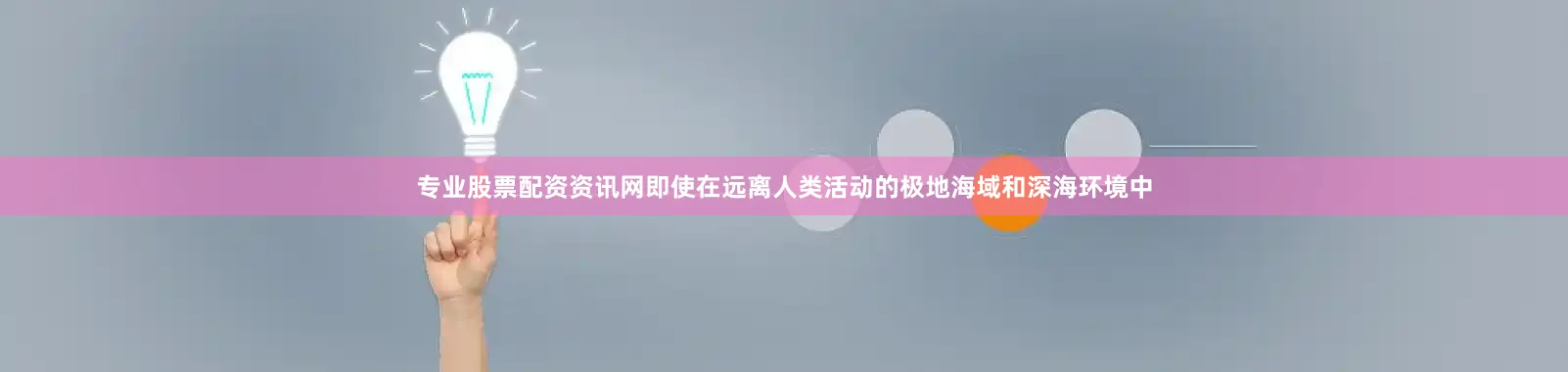 专业股票配资资讯网即使在远离人类活动的极地海域和深海环境中
